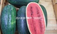 四（sì）川多部門展開“回流（liú）藥”聯合（hé）查詢（xún） — 新京報