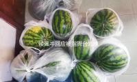 侯佩岑（cén）回應被指舞台劃水一事：盡力肯定不會（huì）少，劃（huá）水是（shì）不（bú）可（kě）能有的