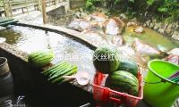 人形機器人帶火絲杠事（shì）務 上（shàng）市公司活躍（yuè）布局