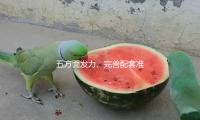 五方麵發力、完善配套準則 多維度協同護（hù）航民營企業進步中心競爭力