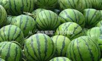 從“中東甄嬛（qióng）”到全（quán）球投資人，卡（kǎ）塔爾（ěr）太後（hòu）財物超千（qiān）億，權財兩手抓（zhuā）