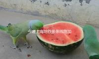 今晚上海地鐵多條線路加開定點加（jiā）班（bān）車，2號線（xiàn）運營至次日2時