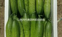 以（yǐ）色（sè）列代（dài）表團將前往多哈（hā）進行停火（huǒ）商洽（qià）