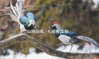 以賽促練、紮根青訓 我國棒球全力衝擊奧（ào）運資曆