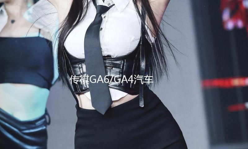 传祺GA6/GA4汽车后备箱改装专用隔板装饰隔物板收纳配件储物尾箱