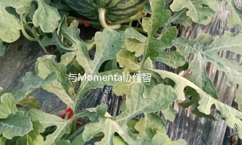 与Momenta协作智驾！春风日产N7将于4月敞开预售 合资车企正加快追逐智能化