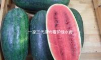 一家三代接力看護（hù）綠水（shuǐ）青山，滬閩協作《樹魂》在（zài）國話連演三場