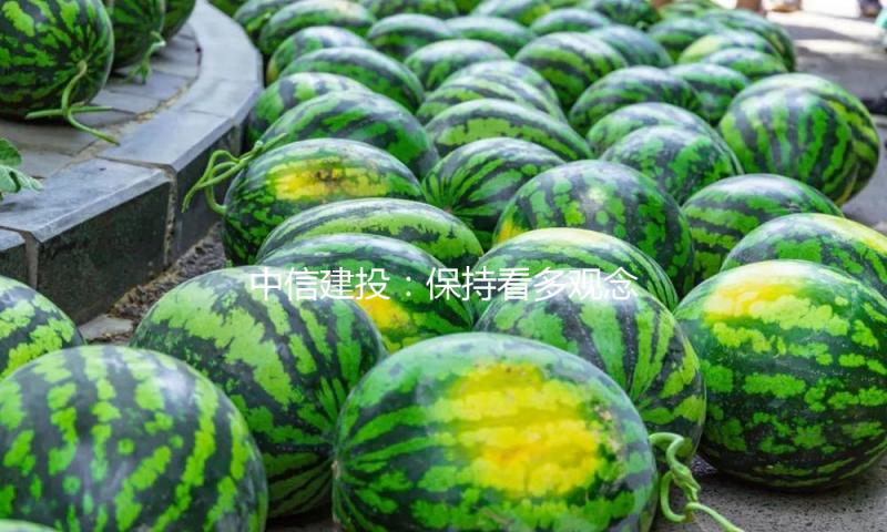 中信建投：保持看多观念 重视智驾及机器人调整买点