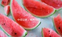 中信證券：尊界S800行將出售 助力華為智選品牌（pái）力上探（tàn）