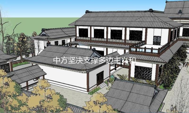中方坚决支撑多边主义和自由贸易，支撑世界贸易组织在全球经济管理中发挥更大效果