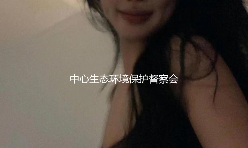 中心生态环境保护督察会集通报典型事例