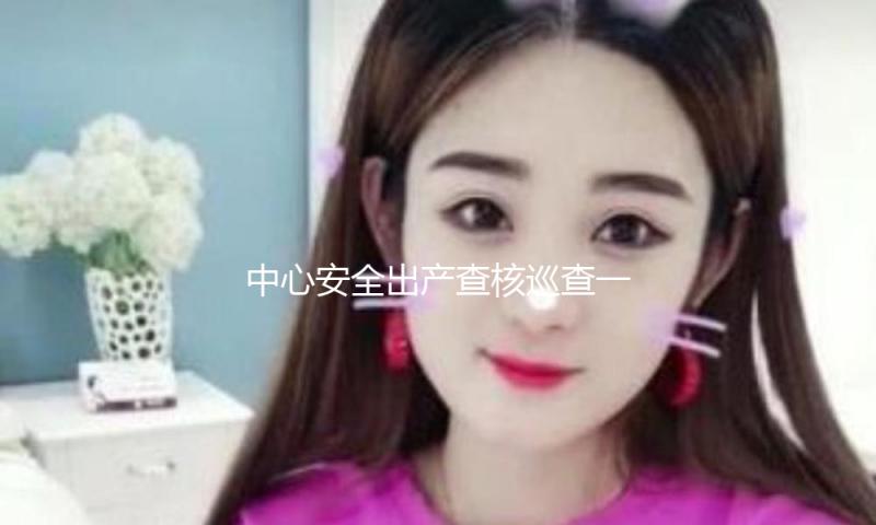 中心安全出产查核巡查一季度安全出产明查暗访正式发动 — 新京报