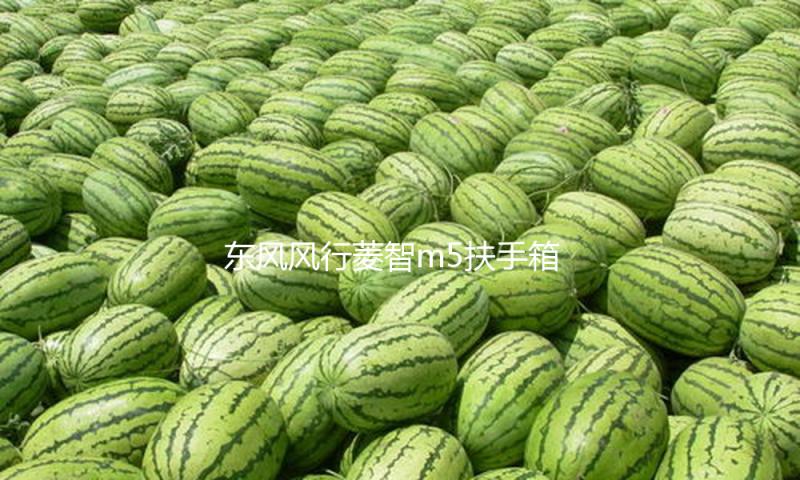 东风风行菱智m5扶手箱专用2021全车改装V3/m5L免打孔车内储物配件