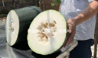 兩會（huì）聲響（xiǎng）｜雷軍：加強AI換臉擬聲管理（lǐ）、優化新能源轎車號牌規劃 — 新京報