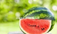總算踏入百冠（guàn）隊伍，38歲的德約（yuē）科維（wéi）奇還能（néng）發（fā）明更（gèng）多奇特