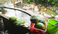 怎樣愈加靠近我國顧客，運（yùn）動品（pǐn）牌給出“本地化”挑選