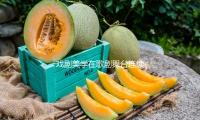 戲劇美（měi）學在歌劇舞台連續