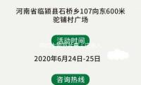 我的上影節（jiē）片單｜這些（xiē）人（rén）的“意難平”，是誰手裏的小走運？