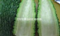 打好抗旱自動仗 助（zhù）農穩產保豐盈——多地抗旱保農一（yī）線調查