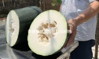李昇基宣告與嶽父母斷絕關係：關於違法（fǎ）行為一定要進行合理的處分