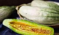 敦煌樂舞文明敞開二〇二（èr）五年在台巡（xún）展