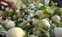 本年穿“這條裙子”，減（jiǎn）齡又美觀！