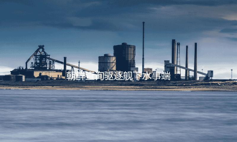 朝鲜查询驱逐舰下水事端 军需工业副部长李亨先被拘留