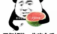 新華全媒+｜一大波未來科技來襲 中關村論壇搶（qiǎng）先看