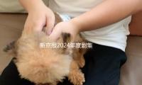 新京報2024年度劇（jù）集揭曉，山花（huā）絢（xuàn）麗俗人（rén）以歌（gē） — 新（xīn）京報