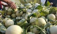 新極簡主義，TOTEME正從頭界說這個年代的“高檔感”