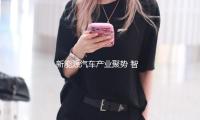 新能源汽車產業聚勢 智能網聯車範疇蓄能