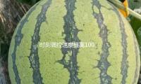 時刻調控速度（dù）提高100倍！我國成功研製出（chū）這一芯片
