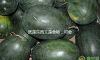 既是東西又是食（shí）物，可食用機器人（rén）敞開舌尖上的（de）新科技