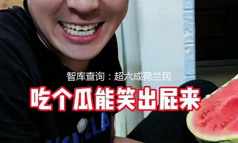 智库查询：超六成荷兰民众视美国为全球要挟