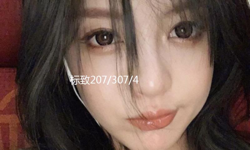 标致207/307/408雪铁龙C4L世嘉C2爱丽舍原装汽车电瓶瓦尔塔蓄电池