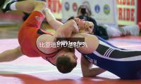 比亞迪BYD速銳F3\L3\G3\手動1.5L自動（dòng）擋（dǎng）原裝瓦爾塔蓄電池汽車電瓶