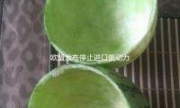 歐盟發布停止進口俄動力方案 2027年為最終期限 — 新京報（bào）