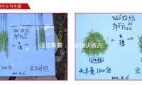 澤連斯（sī）基：不會供認被占領土歸於（yú）俄羅斯（sī） — 新（xīn）京報