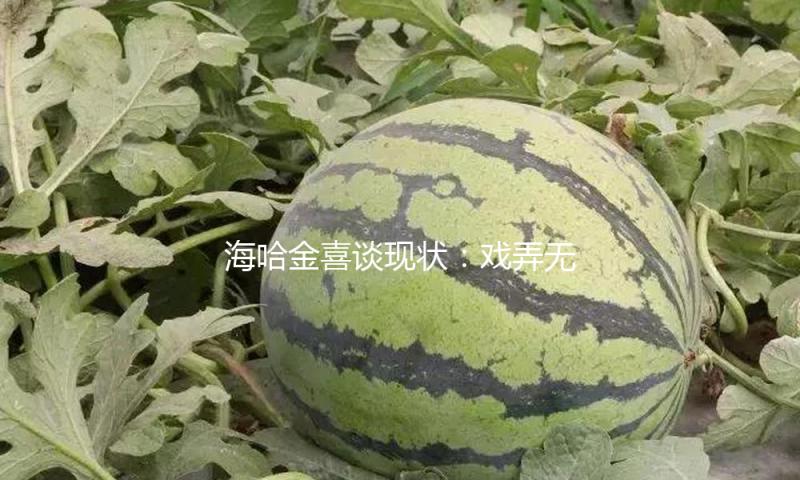 海哈金喜谈现状：戏弄无人找李亚鹏拍戏，娘家的支付是她最大底气