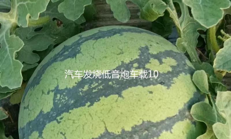 汽车发烧低音炮车载10寸12寸无源低音炮音箱汽车音响改装重低音炮
