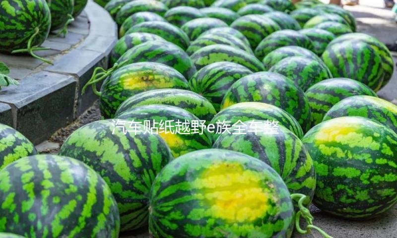 汽车贴纸越野e族全车整车彩印反光拉花装饰车贴越野一族SUV车贴纸