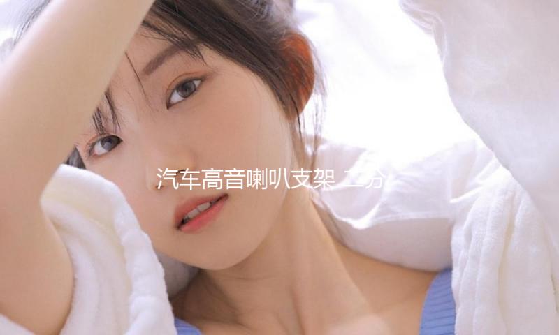 汽车高音喇叭支架 二分频高音a柱倒模模具 高音喇叭底座