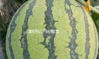 清明檔3.78億收官，《哪吒2》仍在票房榜前（qián）三