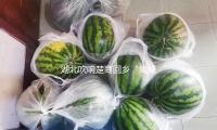 湖北（běi）吹（chuī）響楚商回鄉“集結號” 1163億元項目現場簽約