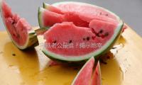 宋軼老（lǎo）公是誰？揭（jiē）示她幸福生活背後的感人故事（shì），讓我們一起吃瓜娛（yú）樂！