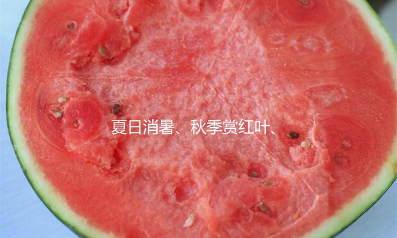 夏日消暑、秋季赏红叶、冬天康养……“银发经济”把戏上新撬动经济新“引擎”