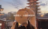 備用情人：從娛樂新聞中發（fā）現愛的真諦（dì）與生活的精彩