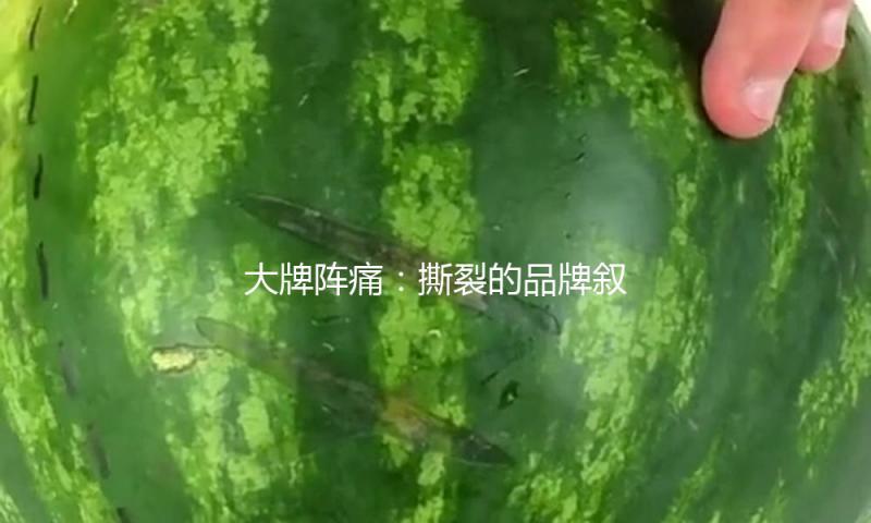 大牌阵痛：撕裂的品牌叙事，紊乱的价格体系