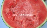 大瓜！馬斯（sī）克被爆和日本天後生娃，濱崎步發文駁斥謠言！網友扒出新孩子媽：中日混血性感網（wǎng）紅？！