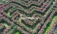 大眾原裝啟停（tíng）電瓶69ah配（pèi）帕（pà）薩特速騰（téng）途觀（guān）邁騰淩度CC斯柯達科迪亞克
